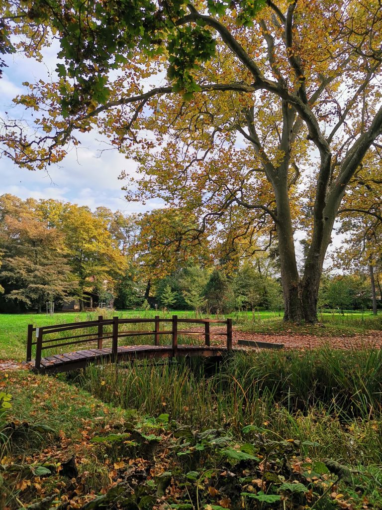 Szigligeti park